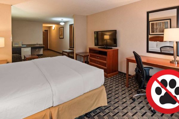 Hotel BEST WESTERN PLUS CLEARFIELD (Clearfield)